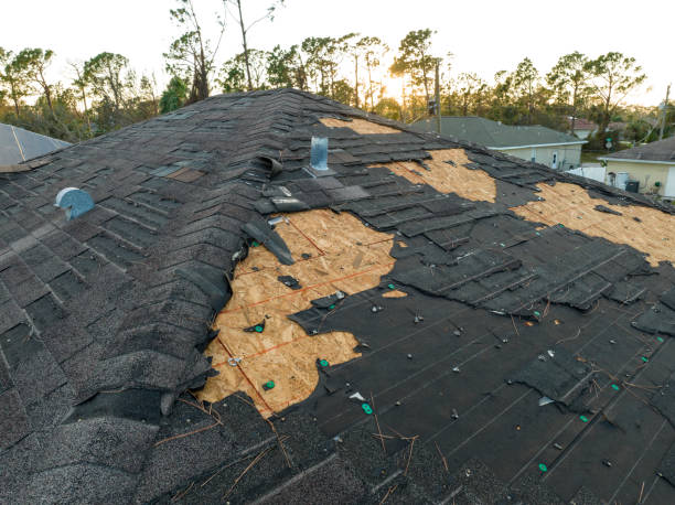 Steel Roofing in Bethel Island, CA